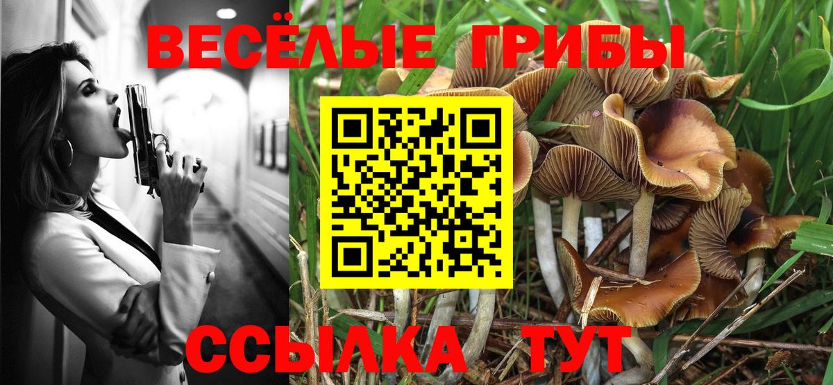 Галлюциногенные грибы GOLDEN TEACHER Каменск-Уральский