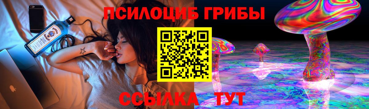 Галлюциногенные грибы GOLDEN TEACHER  купить закладку  Каменск-Уральский  Вход с VPN 